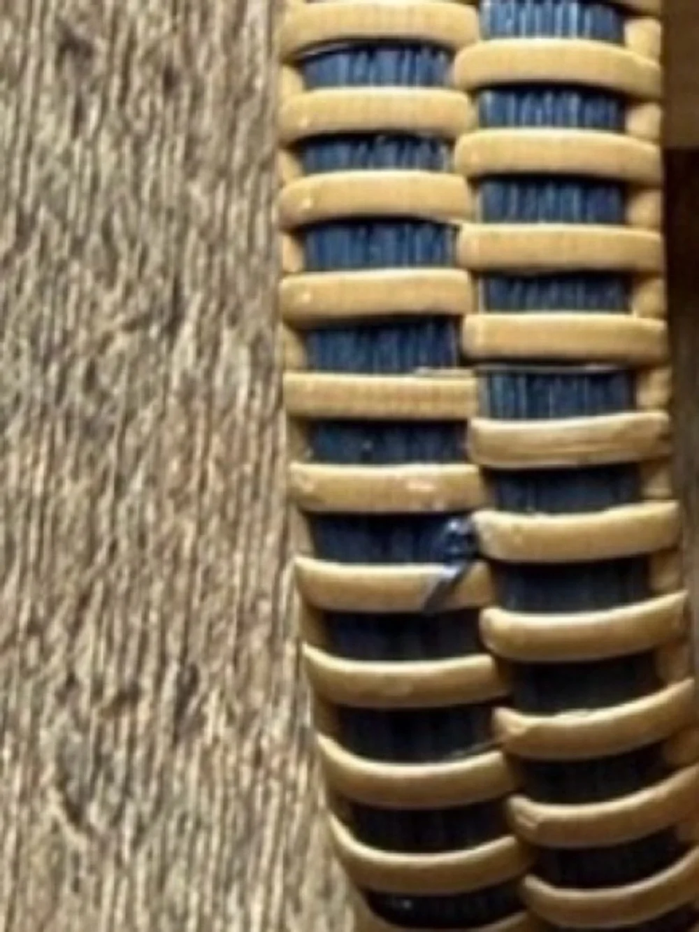 Nantucket Woven Basket bracelet with shark on end cap